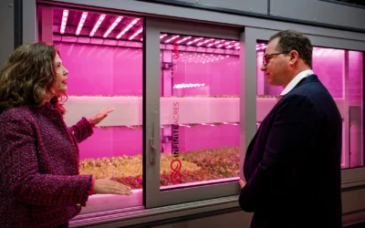 Indoor Farming Promised Safer Food. A $350 Million Pioneer Just Ran Out of Money
