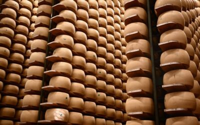 Italy’s $4.7 billion cheese economy is feeling the heat as climate change threatens its cheese banks that hold Parmigiano wheels as loan collateral