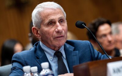 In texts, Fauci discussed potential risks, benefits of COVID vaccine for pregnant women
