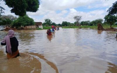 Sudan war: 200,000 newly displaced as fighting and floods intensify